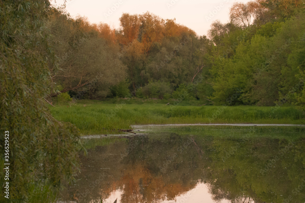 fine view by the water by the setting sun in the Vistula valley