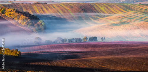 Wavy fairytale autumn landscape at early morning and with fogs on the hills in Moravian Tuscany in Czech republic.