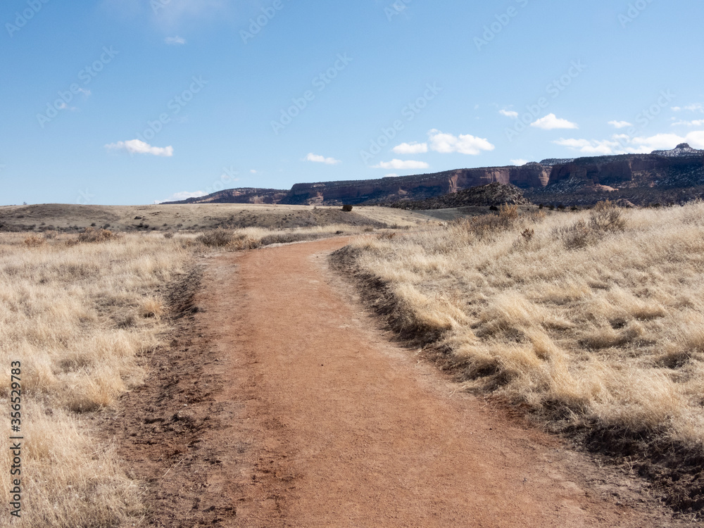 A road across a semiarid field A road across a semiarid field