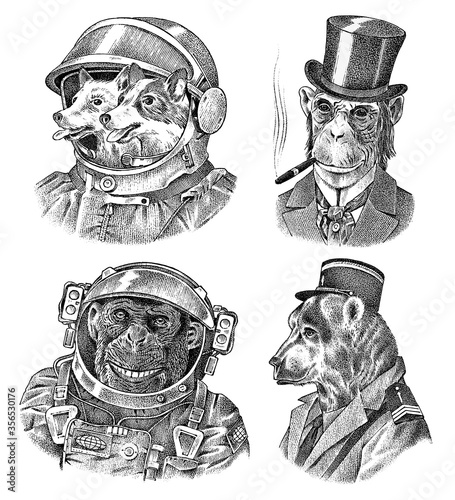 Monkey and Dogs astronaut, Bear in military style. Chimpanzee Spaceman dressed in Suit. Fashion Animal character. Hand drawn sketch. Vector engraved illustration for label, logo and T-shirts or tattoo