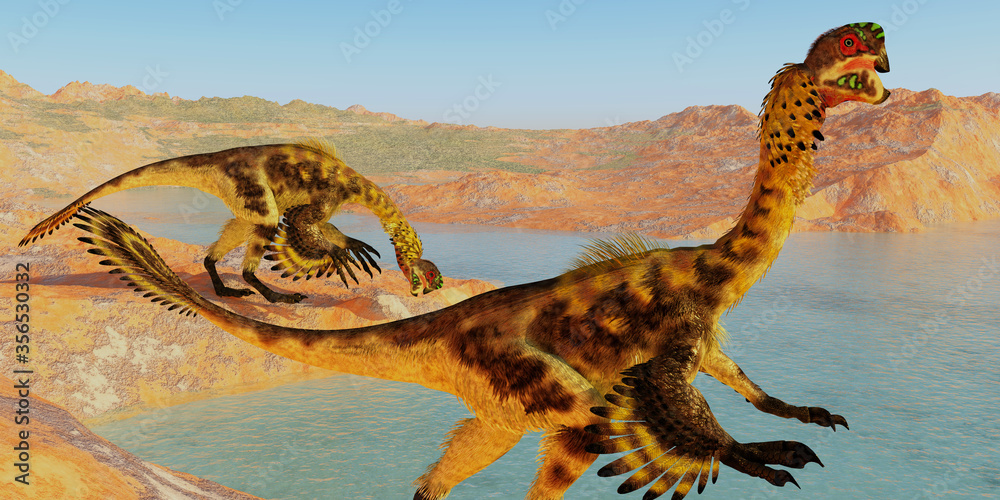 Εκτύπωση καμβά Citipati Dinosaurs - Citipati was a feathered velociraptor dinosaur that lived in the Cretaceous Period of Mongolia