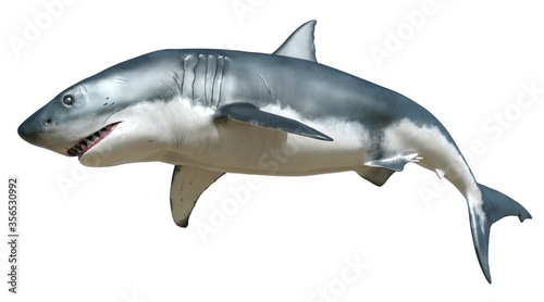 Shark isolated on white background 3d illustration