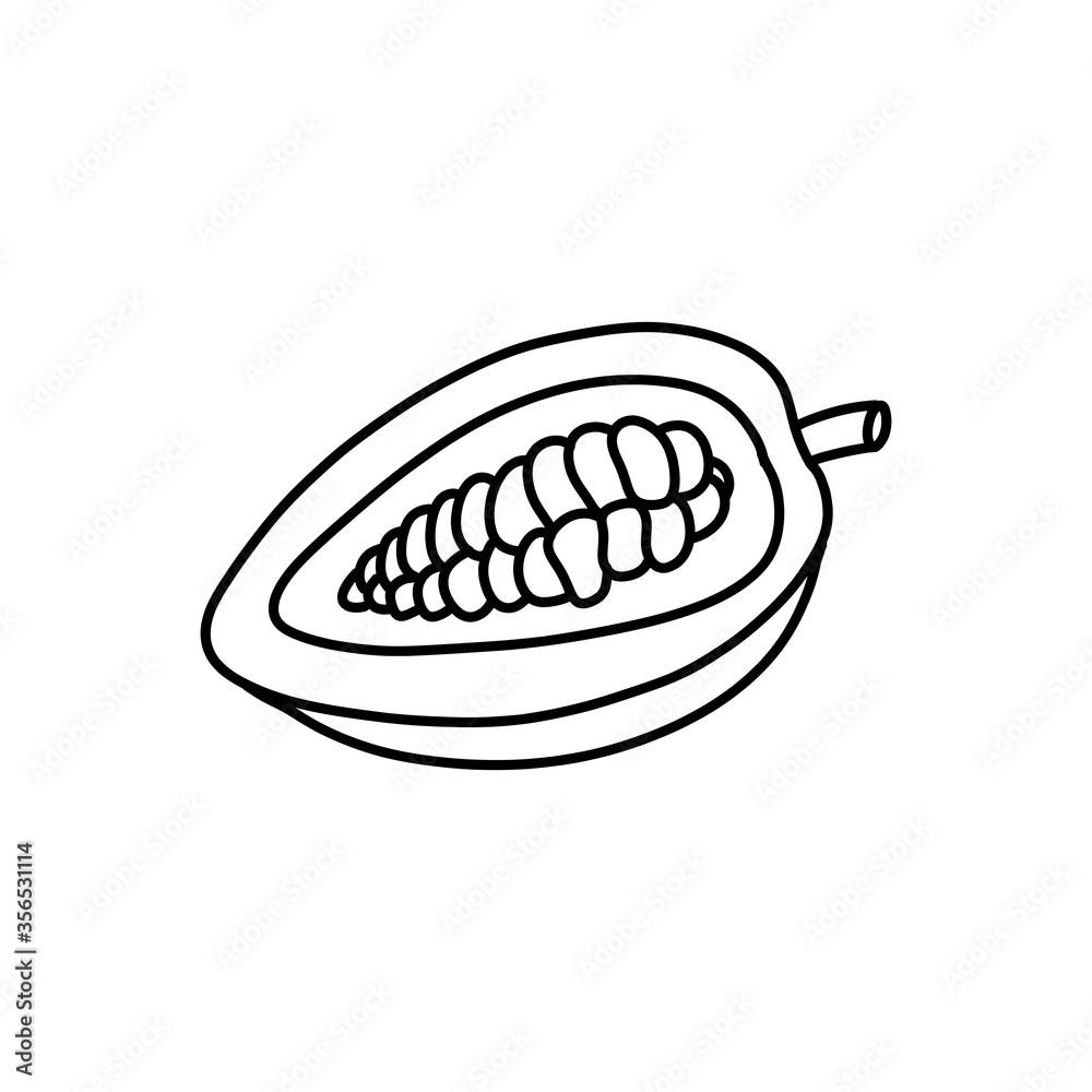 cacao fruit and beans doodle icon, vector illustration cacao fruit and beans doodle icon, vector illustration