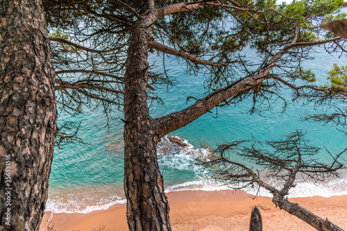 Fototapeta Naklejka Na Ścianę i Meble -  Paseando por el mar