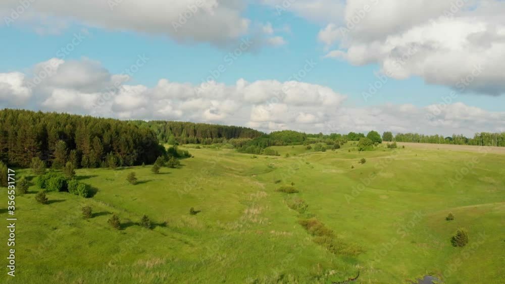 Green open field and forest - blue sky with clouds