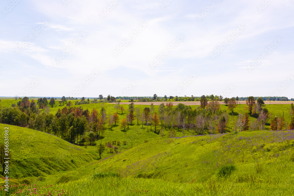 wide green fields with a gorge