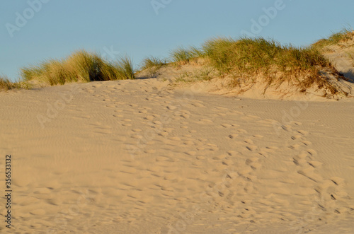 footprints in the sand dunes