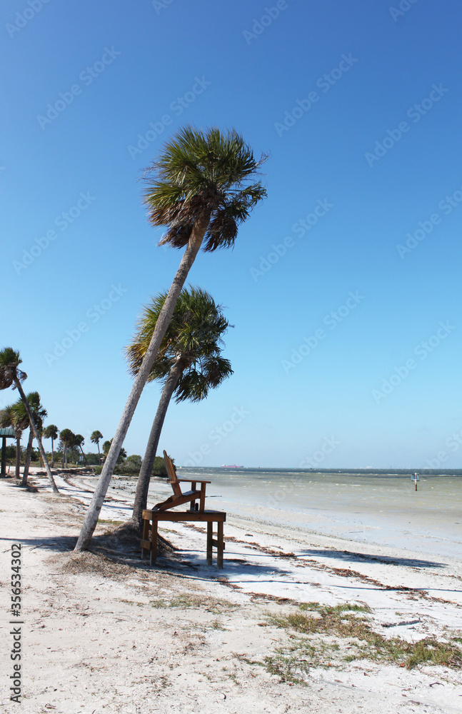 Leaning palm tress against a brilliant blue cloudless sky on a sandy beach overlooking the ocean
