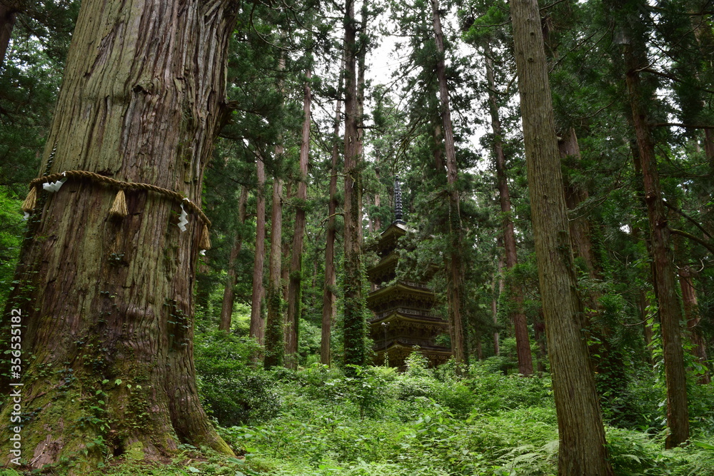 Fototapeta premium 羽黒山五重塔付近の景色
