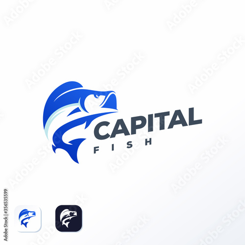 fish logo design ready to use