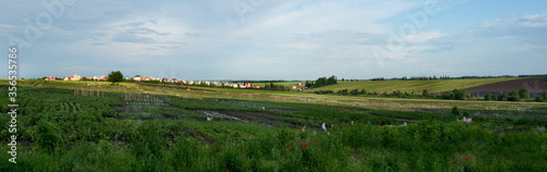 Large panoramic view of the vegetable beds, gardens of the peasants are divided into pieces, marked