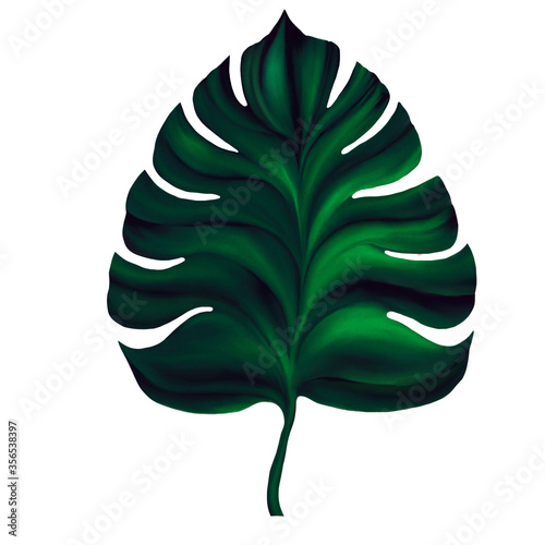 Diital illustration of  green monstera leaf isolated at white background. Gouache painting imitation. photo