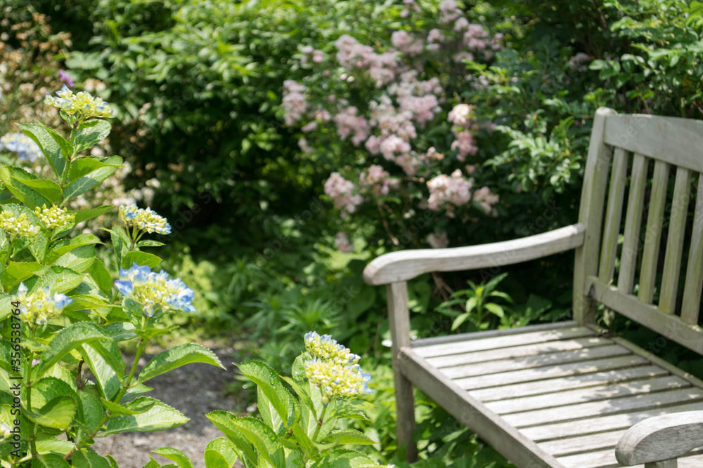 アジサイが満開のベンチのある英国式庭園