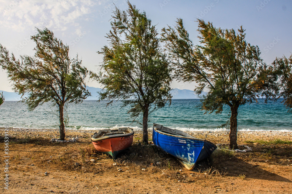 two boats and three trees on the beach two boats and three trees on the beach