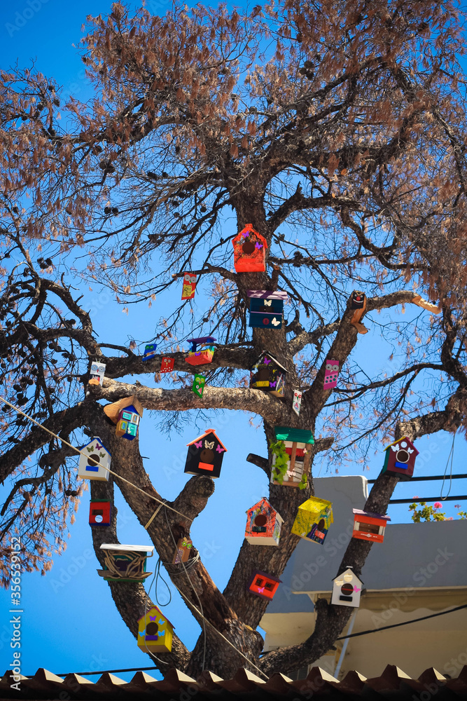 Fototapeta premium Bird Houses on the tree