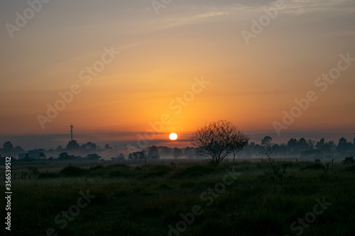 beautiful sunset with low fog