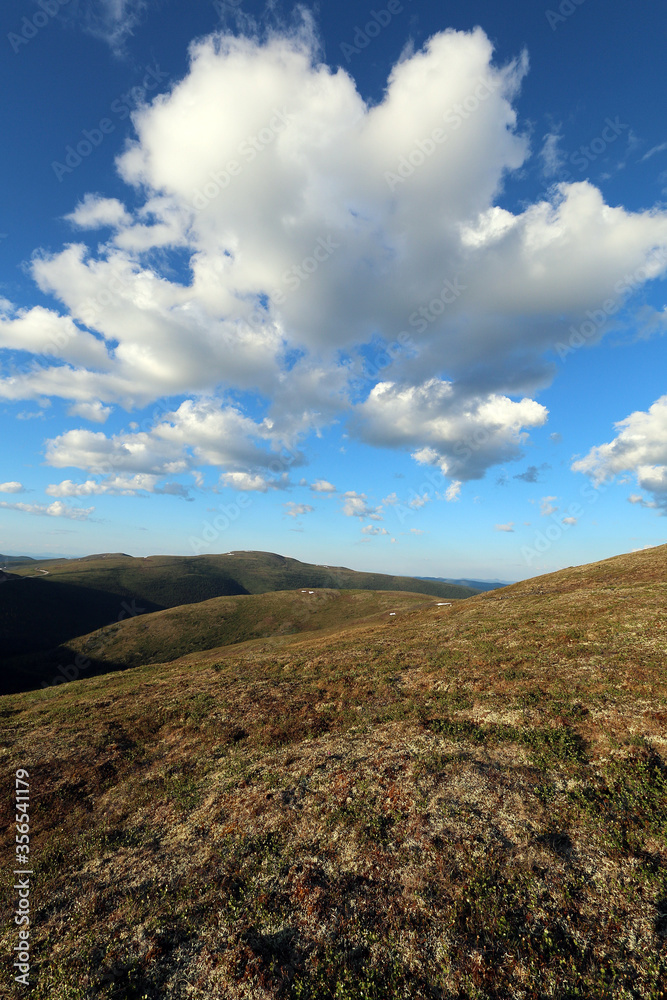 Tundra landscape Top of the World Highway Alaska Tundra landscape Top of the World Highway Alaska