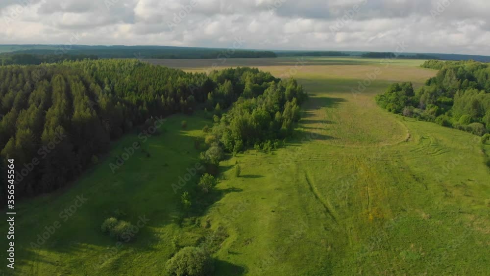 Green open field and forest with cloudy sky above Green open field and forest with cloudy sky above