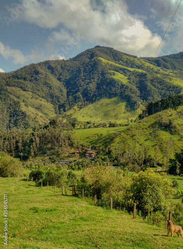 landscape with montains, tree, river and house 