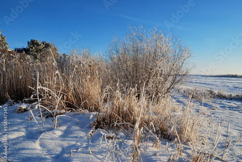 Evening on the Irtysh River, Omsk region, Siberia, Russia