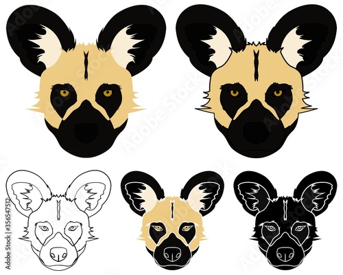 African wild dog in face view.