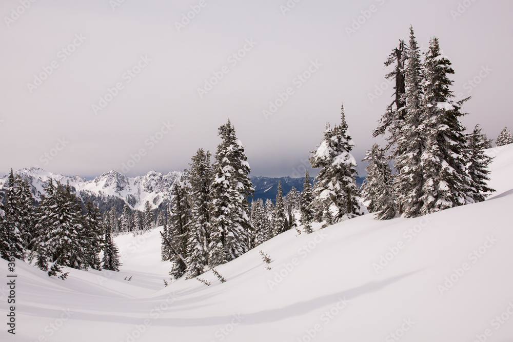 Wintry scene at Paradise, Mt. Rainier National Park in Washington state
