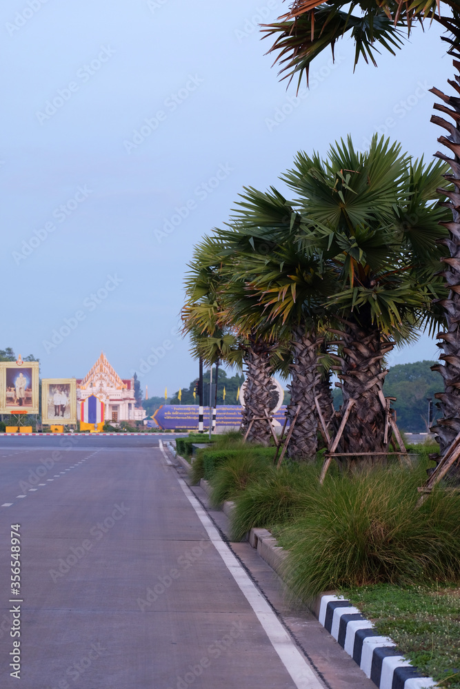 Road with palm trees alongside under light blue sky Road with palm trees alongside under light blue sky