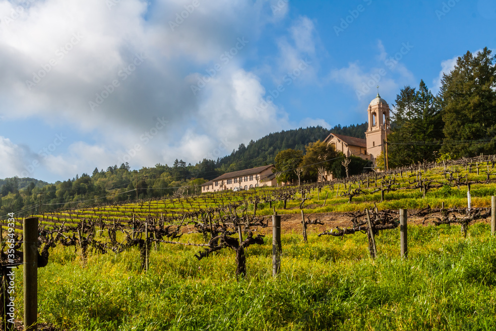 Winery and Terraced  Vineyards,Napa Valley, California,USA