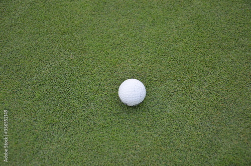 White golf ball on green grass in golf course.  sports outdoor in summer vacation