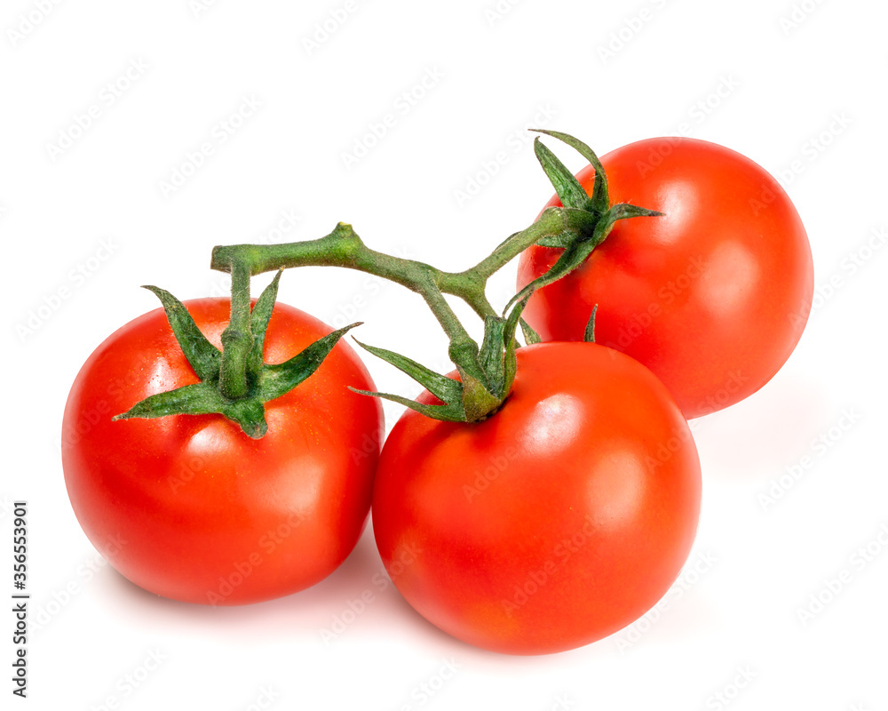 Group of Tomato isolated on white background, Tomato on white with clipping path. Group of Tomato isolated on white background, Tomato on white with clipping path.