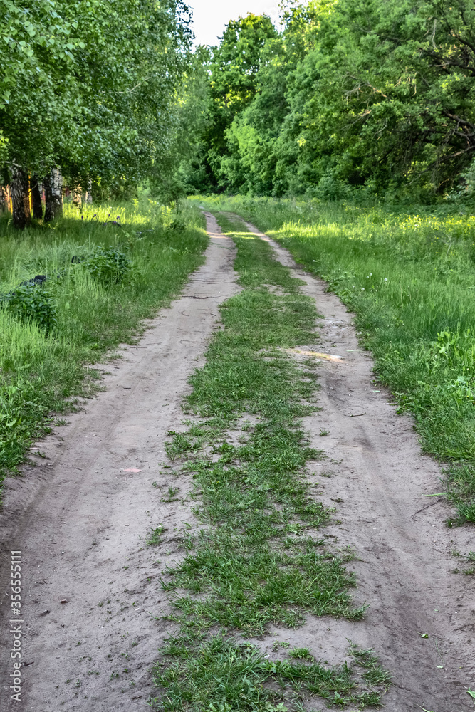 Rural winding dirt track of a road closeup.