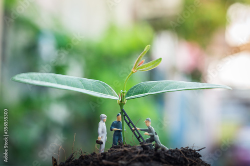 Miniature people team works to inspect and plant trees for a green world project. (We plant trees for a better world)