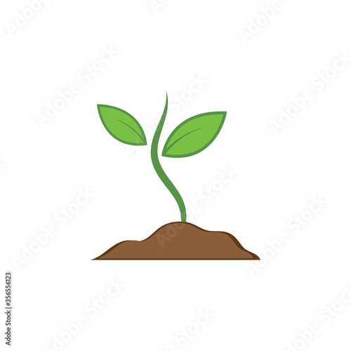plant vector icon illustration © sangidan