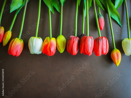 The beautiful tulip in my room.