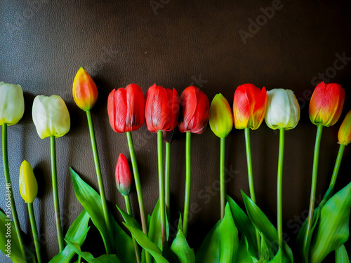 The beautiful tulip in my room.
