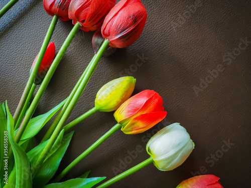 The beautiful tulip in my room.
