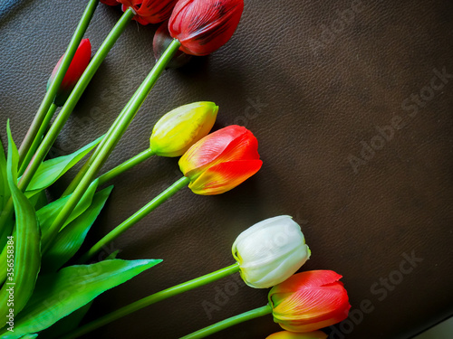 The beautiful tulip in my room.