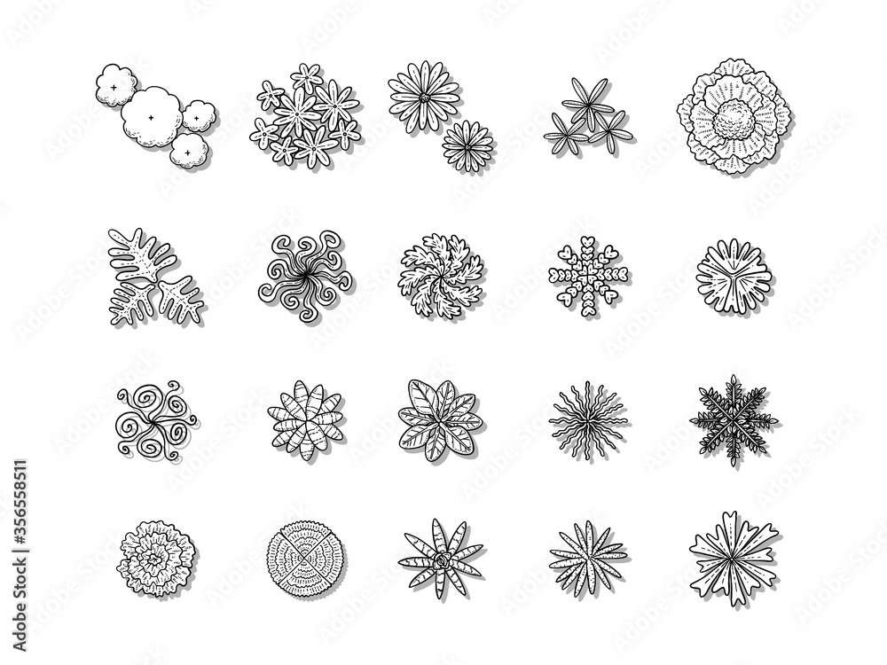 vector of top view tree set, hand drawn sketch on white background. vector of top view tree set, hand drawn sketch on white background.