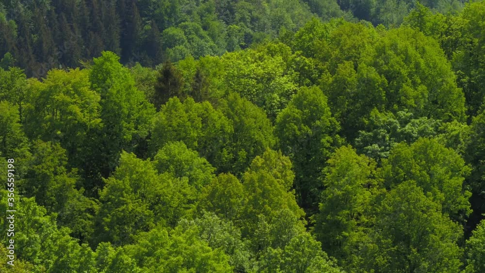 drone flight over the forest in the mountains with a view of the lake drone flight over the forest in the mountains with a view of the lake