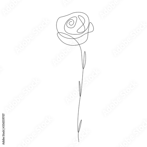 Rose flower, valentines day love design vector illustration