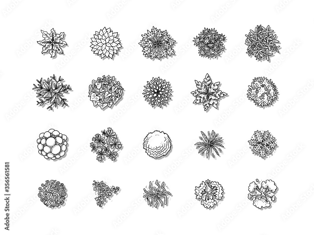 vector of top view tree set, hand drawn sketch on white background. vector of top view tree set, hand drawn sketch on white background.