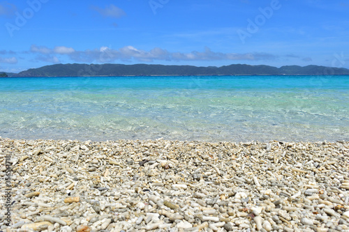 珊瑚の欠片と透き通るきれいな碧い海／古座間味ビーチ