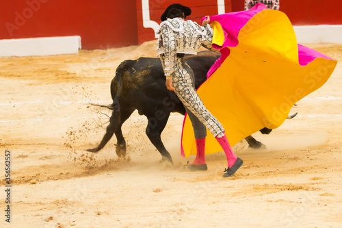 Fotografie Bullfighter