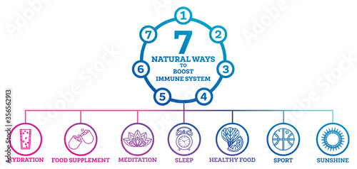 How to Boost Your Immune System. Infographic Elements Isolated on White.