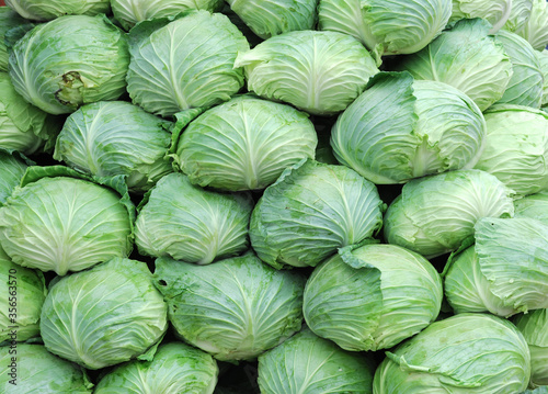 close up on cabbage in pile