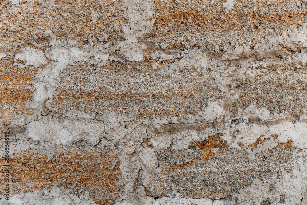 Fototapeta premium Rough texture of a brick wall made of shells, appearance