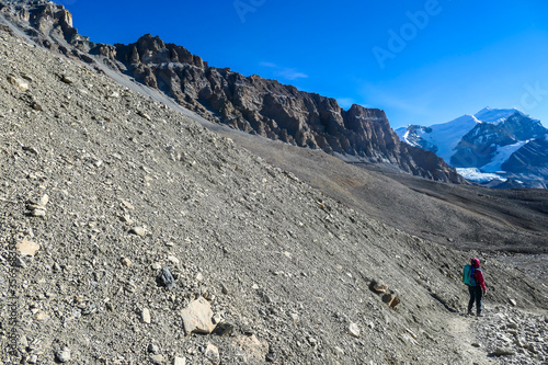 A woman trekking to the top of Thorung La Pass, Annapurna Circuit Trek, Nepal. Harsh and barren landscape around. Clear and blue sky. Snow capped mountains. Early morning and cold temperature. © Chris