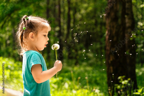 Little girl blows on dandelion