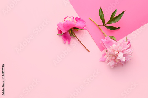 Beautiful peony flowers on color background