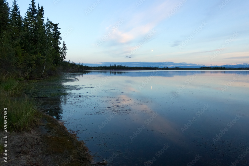 月影が映るアラスカの湖